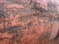 DSC00350